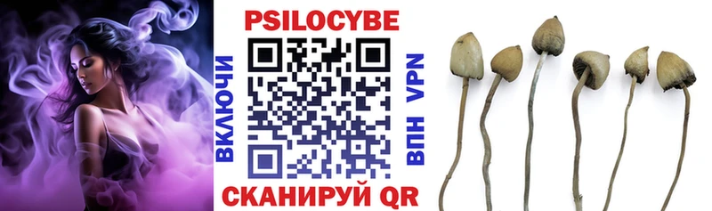 Купить закладки  Выкса  Псилоцибиновые грибы мицелий 